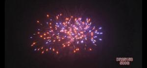 China Mandarin 1.4g Un0336 22 Shots Consumer Cake Fireworks factory