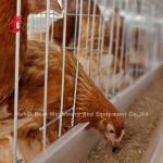 3-Tier Galvanized Poultry Cage System Mia