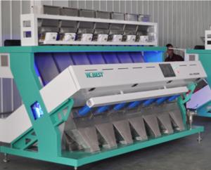 China CocoNut Cashew Color Sorter Machine High Capacity factory