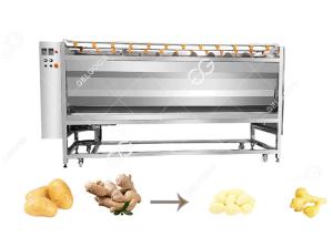 China 200-3000kg/T Customizable Commercial Potato Ginger Cleaning And Peeling Machine With Factory Price factory
