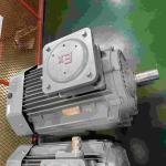 Stainless Steel Explosion Proof Electrical Motor For Food Processing Plant