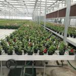 Aluminum Alloy ABS Clip On Bench Side Profile Greenhouse Rolling Tables W × L 4