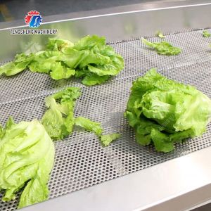 Fruit and Vegetable Draining Machine Fruit Vegetable Onions Herbs Saiko