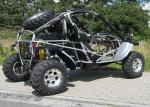CF Motor Go Kart Adult Double Seat Go Kart 500cc 800cc 1100cc With Spare Parts