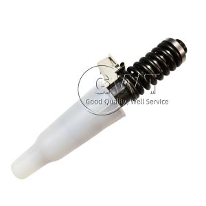 China Common Rail DELPHI Diesel Fuel Injectors BEBE4D24001 BEBE4D08001 BEBE4D16001 factory