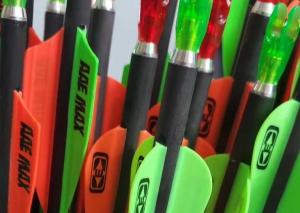 China Carbon Fiber Child's Arrow For Practice , Youth Beginner Practice Arrows factory