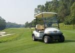 Popular 2 Seater Golf Cart , Street Legal Electric Vehicles Passenger Mover