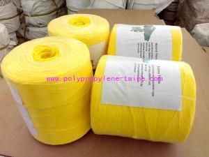 China 2% UV Polypropylene Baling Twine factory