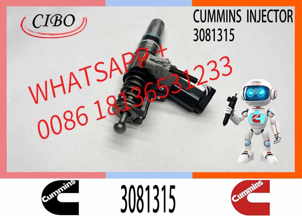 Diesel Fuel Injector 3081315 3073995F 3083846T 3083848F 3411766F 3080931F 3087558F for Cummins QSN14 N14