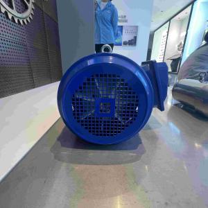 China YE3 Model Carbon Steel High Efficient Electric Motors For Pumps factory