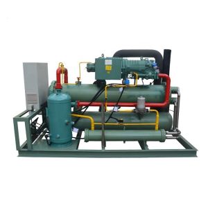 KBD1-125 Cold Room Refrigeration Unit with HSN8571-125 Screw Compressor