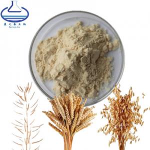 China Food Grade Avena Sativa Extract Powder Oat Extract Oat Seed Powder factory