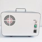 Foshan Air Compressor Factory Mini Body Oil Free Dental Compressor Silent 550W