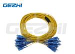 12 Cores Fiber Optic Patch Leads SC/PC/UPC/APC Fiber Optic Patch Cable