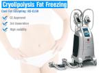 Cryolipolysis Fat Freezing Body Slimming Machine No Surgery For Body Slimming