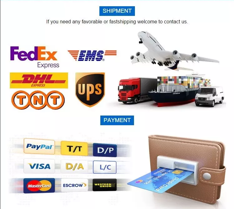 Large LCD Capsule Massage Chair Shiatsu Elastic Kneading ISO9001 For Back Pain ROHS