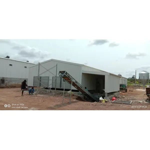 Steel Structure Chicken Use Poultry House/Chicken Farm/ Broiler Chicken House