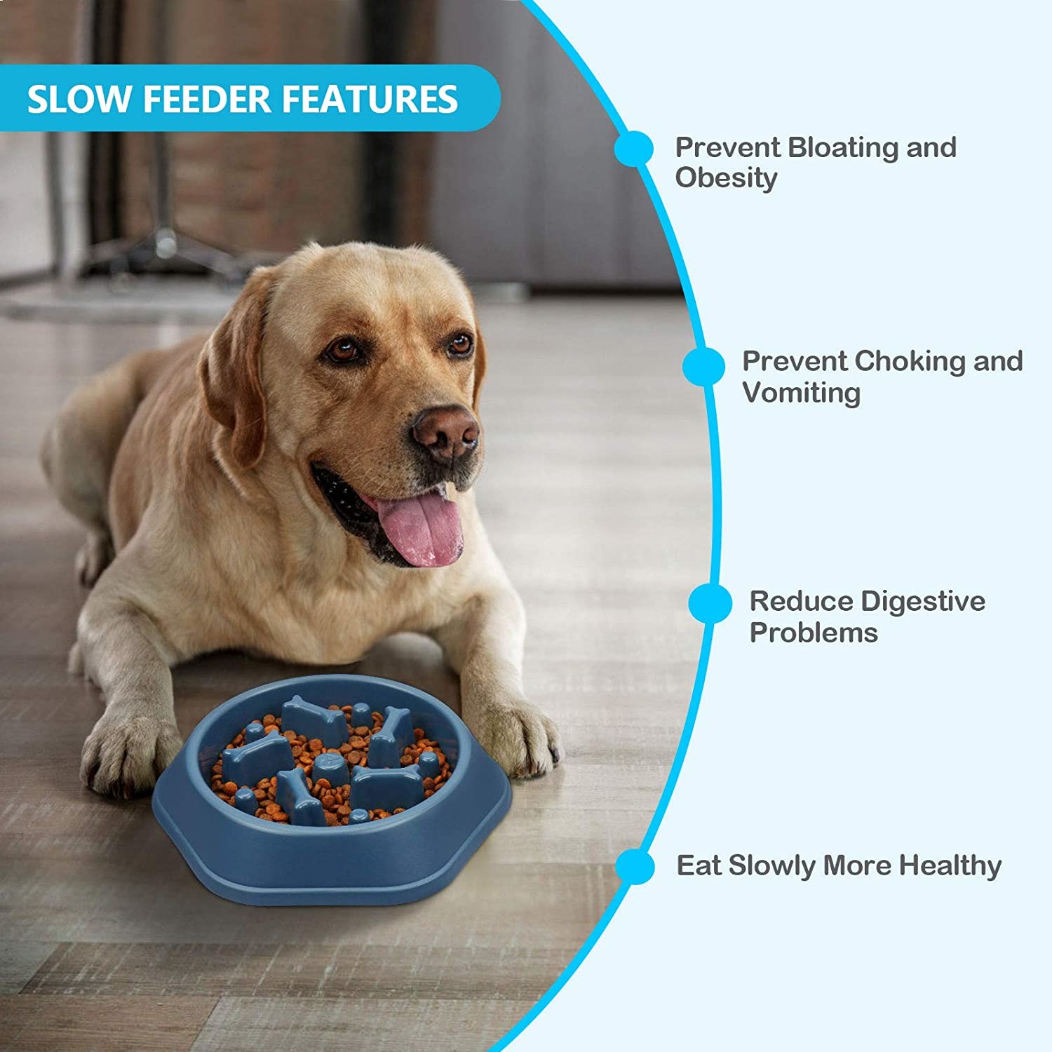 Interactive Slow Feeder Bowl Anti Chocking For Small Medium Dogs