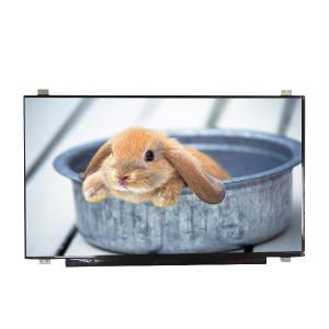 China Supply B173HAN01.4 size 17.3 inch Matte Hard coating LCD Screen factory