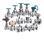 20mm-50mm PN16 API JIS 304/316 Stainless Steel Flange Gate Valve for Water or