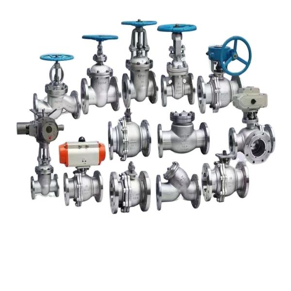 20mm-50mm PN16 API JIS 304/316 Stainless Steel Flange Gate Valve for Water or