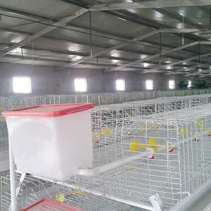 China Large Capacity Poultry Broiler Chicken Cage Hot Dipped Wire Mesh Material factory