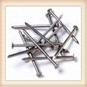 China Electro galvanized common wire nail/common iron wire nails/bright common nails factory on sale