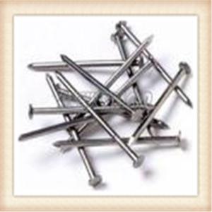 China high quality polish common nails factory