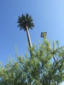 China Longlife 50m Camouflaged Cell Phone Tower Tree factory