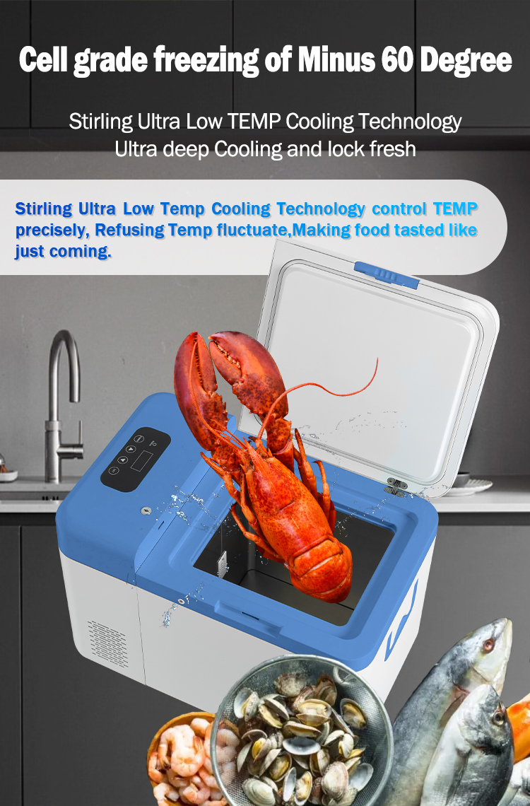 25L Portable Car 12V/24V -60 Degree Deep Cooling Home Under Table Freezer with ABS