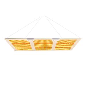 China Hydroponic Qb288 AC277V Horticultural Grow Lights factory