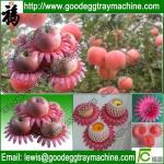 Plastic Fruit Mat
