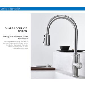 China Gooseneck Pull Out Hose Kitchen Taps factory