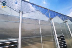 China Large Agricultural Tunnel PC Greenhouse Polycarbonate Vegetable Growing Greenhouse factory