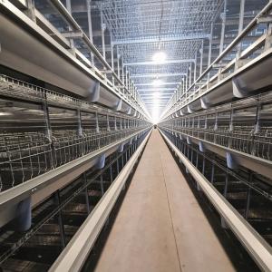China Poultry Cage Chicken Layer Chickens Cage For Farm Layer Chickens Battery Cages Poultry Chicken Layer factory