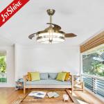 Decorative Retractable Ceiling Fan Light AC Motor Acrylic Blades