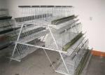 Laminated Egg Laying Chicken House