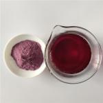 Instant Powder Drink Blackberry Extract Powder With Best Price