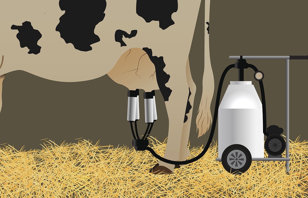 Diesel Engine Mobile Cow Portable Milking Machine Electric Goat Vacuum Pump