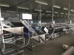 Industrial Potato Carrot Vegetable Wash Line Dates Pineapple Fruit Washer Bubble