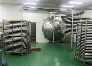 China Pharma Industry Electric Heating Freeze Dryer In Pharmaceutics factory