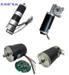 Good Quality Electric Brushless Dc Motor 12v 24v 36v 48v to 320v BLDC Servo