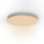 IP54 LED Ceiling Light Surface Mount For Bedroom