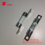 Short Circuit Protection Electric Vehicle Fuse 40A With Breaking Capacity 3KA