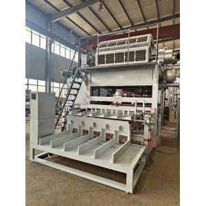 China Fully Automatic 5x8 Molds Paper Egg Tray Machine 5000pcs/h factory