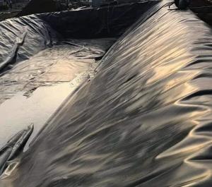 China HDPE LLDPE Impermeable Geomembrane Liner Fish Farm Pond factory