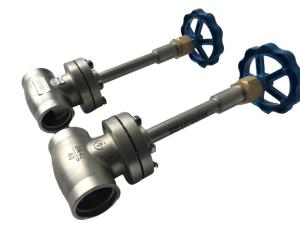 China DN25 to DN200 Flange Type Long-Stem Cryogenic Valve for LNG factory