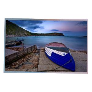 China 22.0 Inch 1680*1050 66 Pin M220Z1-L09 LCD Screen Display TFT-LCD Panel factory