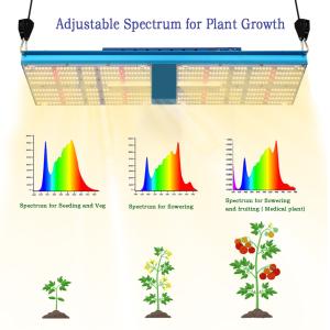 China 80x80 Tent SMD3030 240w Indoor Plant Light 2.4umol/W Waterproof Grow Light factory