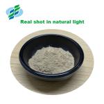 Lotus Leaf Herbal Extract Powder 10% 50% 98% For Dieting Weight Control